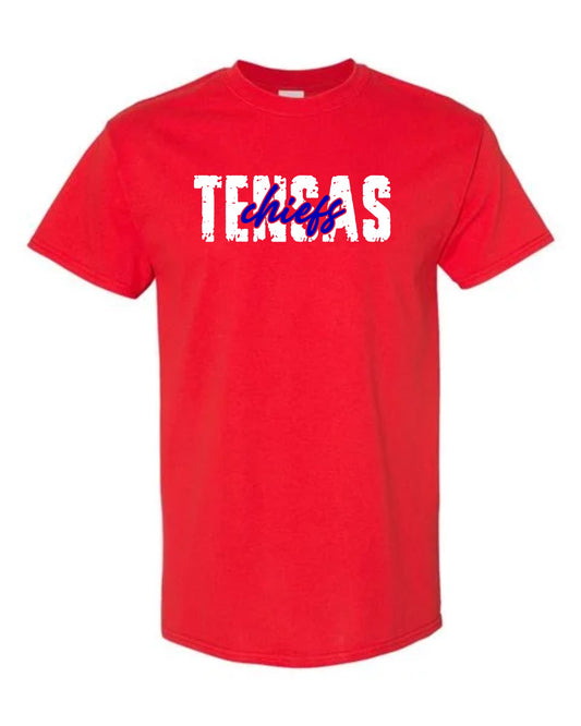 2025 Spirit Shirt-Gildan Adult