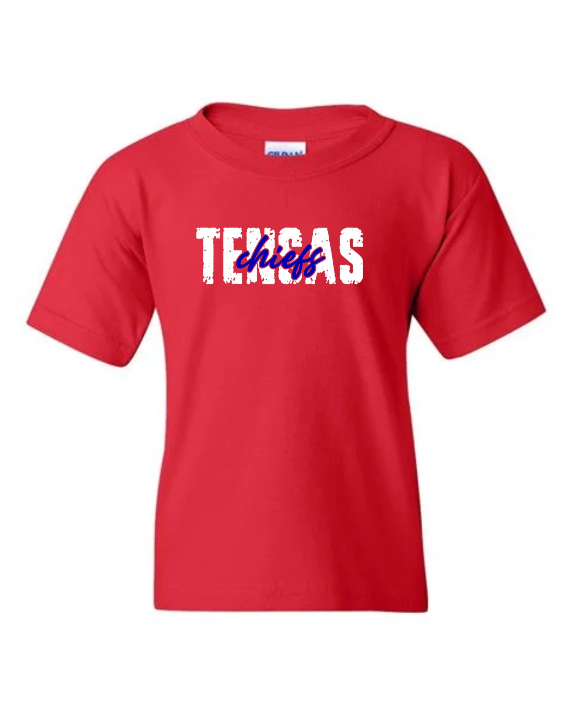 2025 Spirit Shirt-Youth Gildan